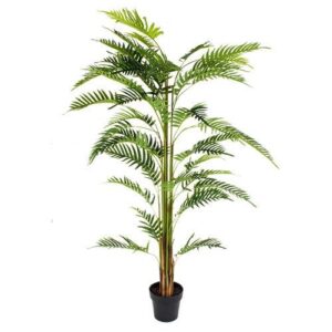 PALMIYE AGACI (FERN) 180 CM. (PALM TREE) - M Square Design Shop